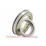 Toyana NJ18/1000 cylindrical roller bearings