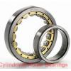 20 mm x 47 mm x 18 mm  CYSD NJ2204E cylindrical roller bearings