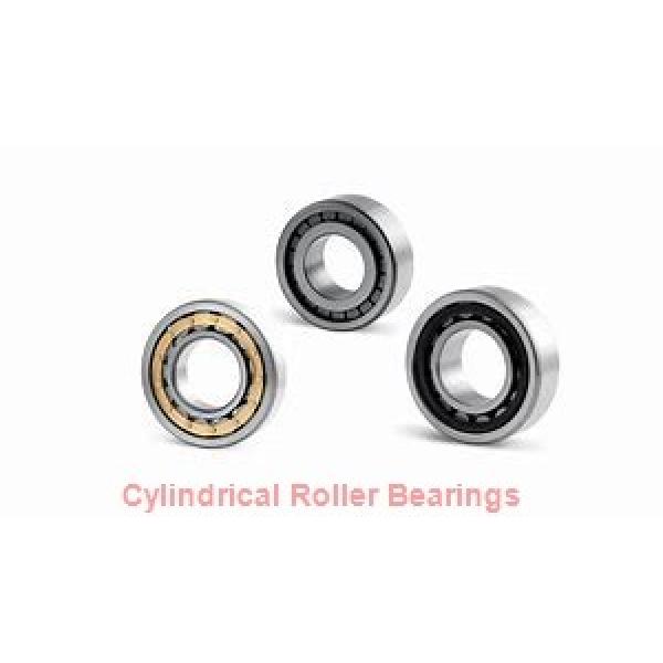 55 mm x 140 mm x 33 mm  NSK NU 411 cylindrical roller bearings #1 image